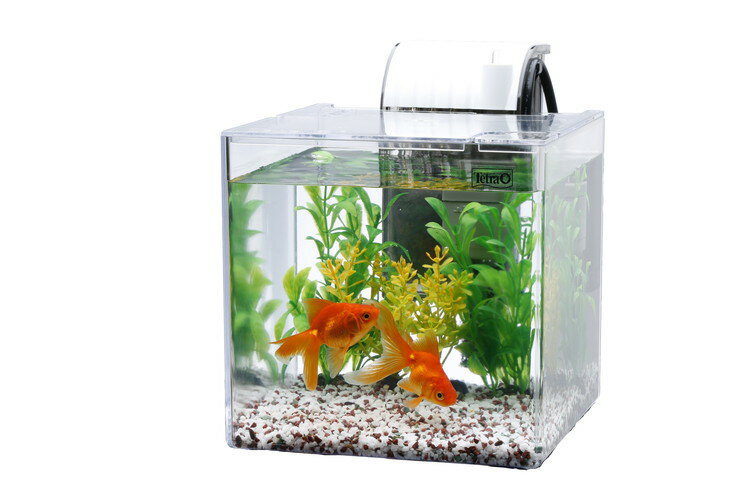 �ƥȥ� �Ť��ʶ�����饻�å� SF-17GF�ڥݥ����10�ܡۡ�����̵����