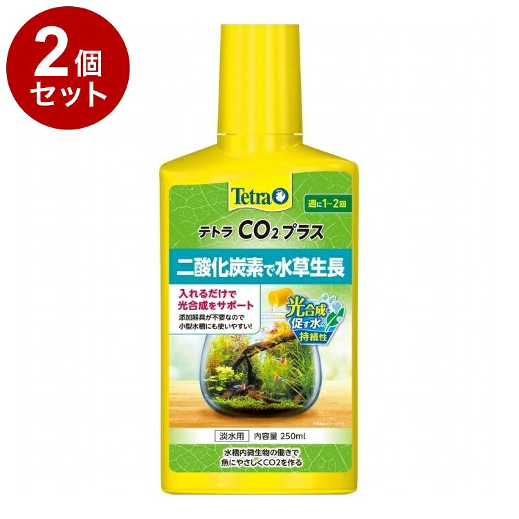 【2個セット】 テトラ CO2プラス 250ml【ポイント10倍】