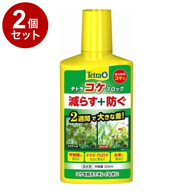 【2個セット】 テトラ コケブロック 250ml【ポイント10倍】