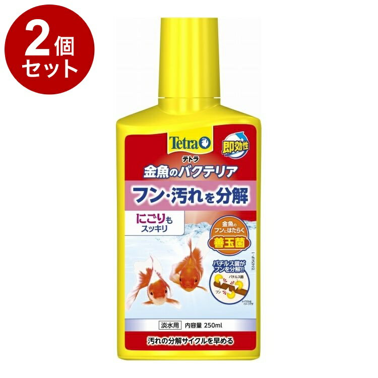 【2個セット】 テトラ 金魚のバクテリア 250ml【ポイント10倍】
