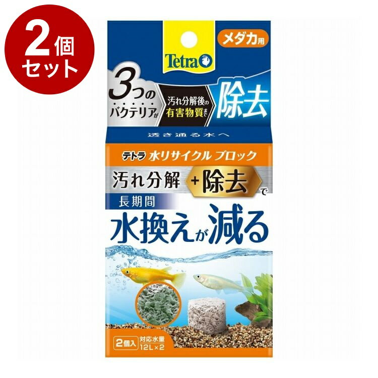 ��2�ĥ��åȡ� �ƥȥ� ��ꥵ������֥��å� ������ѡڥݥ����10�ܡ�