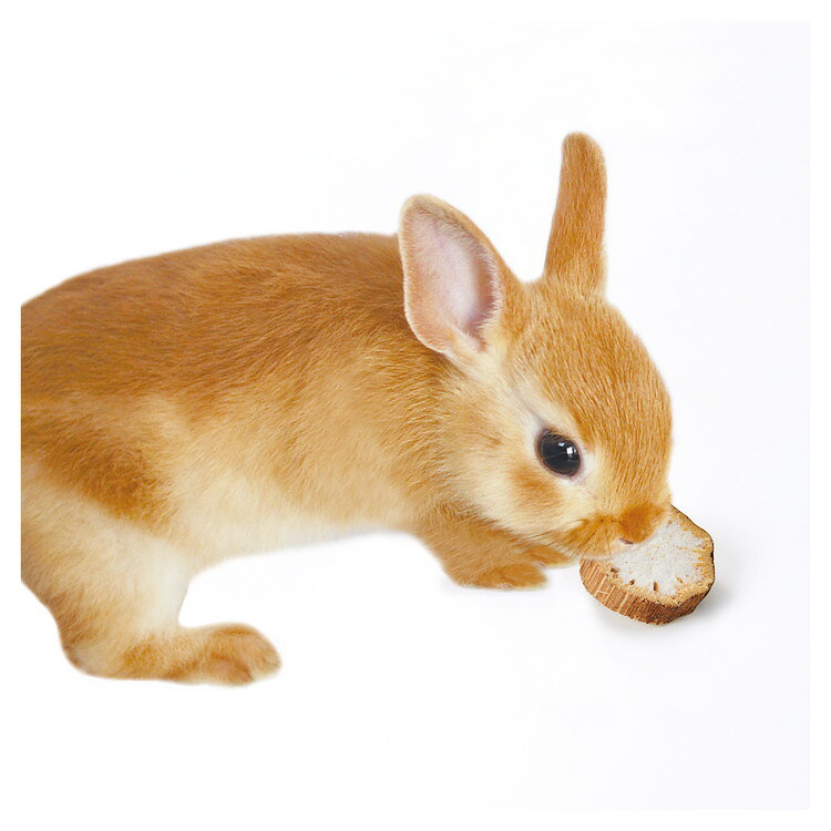 リコメン堂のマルカン ミニマル工房 ひまわりスライス 25g【ポイント10倍】｜アングル3