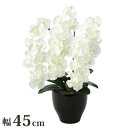 プレミアム胡蝶蘭W 観葉植物 インテリア 光触媒 装飾 ギフト プレゼント 贈り物 人工観葉植物 659K135 株式会社アートクリエイション(代引不可)【ポイ...