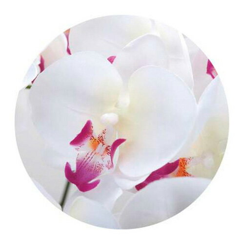 ロイヤル胡蝶蘭 5本立 W/AB 造花 ギフト 贈り物 開店祝い プレゼント フェイクグリーン おしゃれ シンプル モダン リビング 新生活 一人暮らし(代引不可)【送料無料】