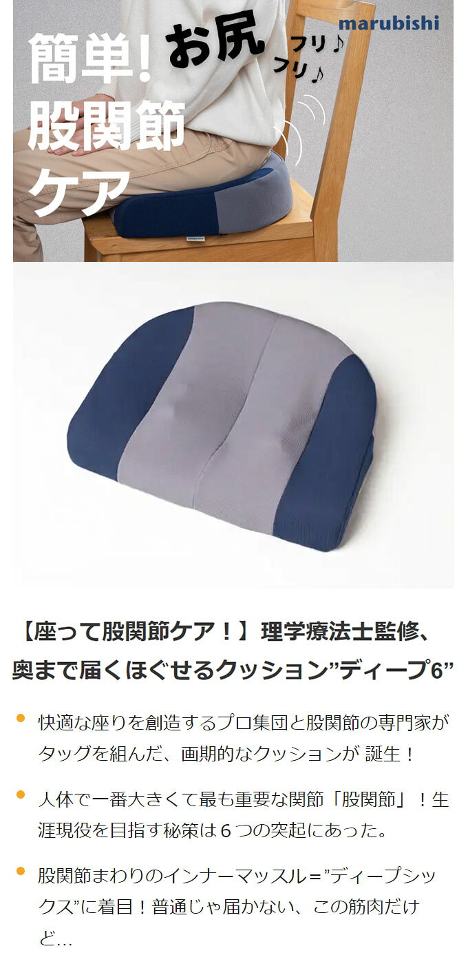 ディープ6 クッション ネイビー×ライトグレー デスクワーク リモートワーク シートクッション カバー 洗える オフィス用 長時間使用 座布団 チェアクッション 在宅 健康 椅子用(代引不可)【ポイント10倍】【送料無料】 [2]