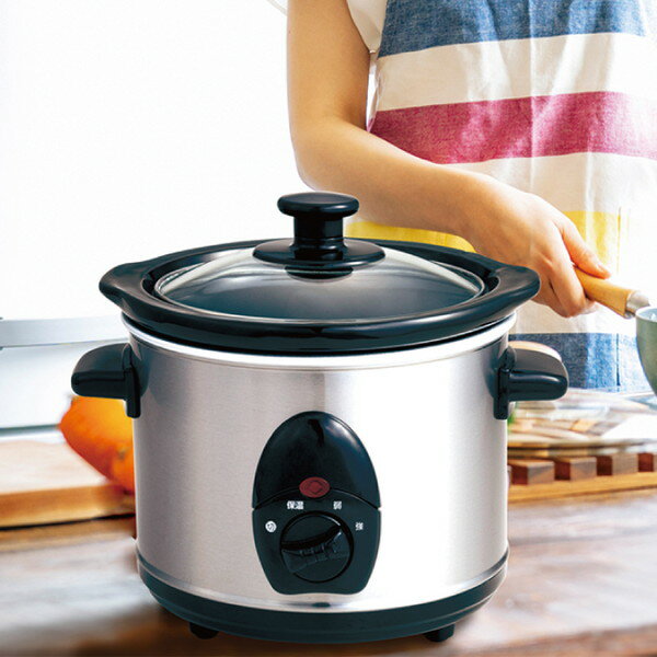 圧力鍋 スロークッカー Breville BPR700 ブレビル | www.ibnuumar.sch.id