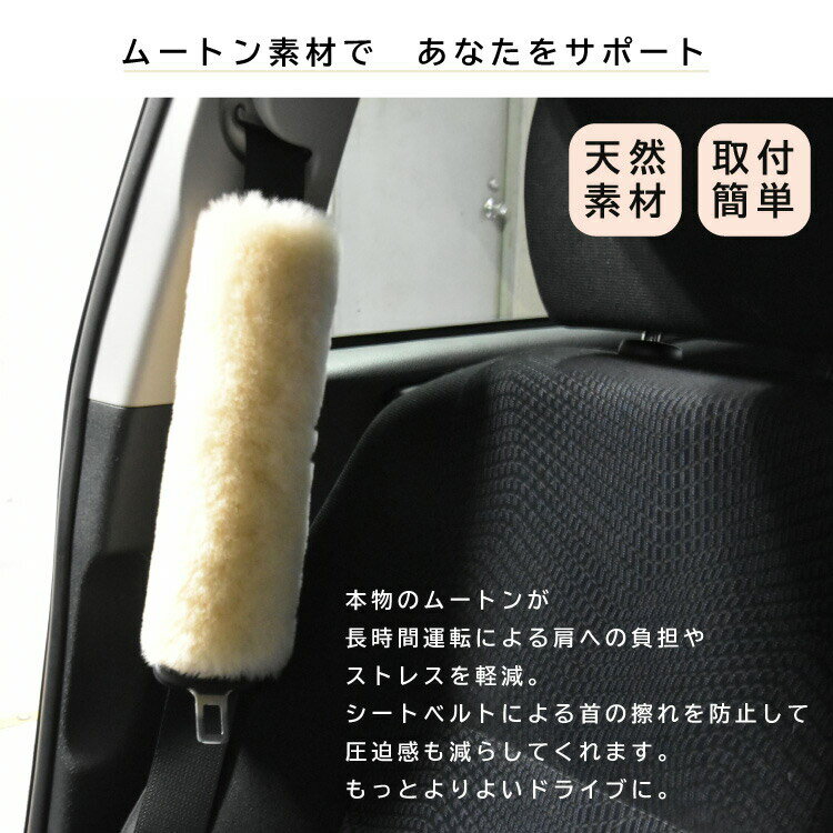 �ࡼ�ȥ󥷡��ȥ٥�ȥ��С� ������ �ࡼ�ȥ� �����ȥ٥�ȥ��С� �⥳�⥳ ��������ƥꥢ �ɥ饤�� �դ�դ� ������� ���餫��(����Բ�)�ڥ᡼���������ۡڥݥ����10�ܡۡ�����̵����