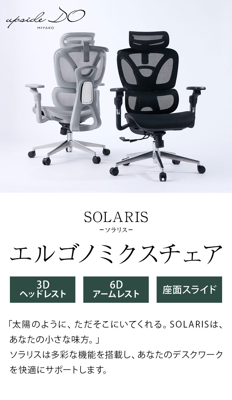 アップサイド ドゥ ソラリス エルゴノミクスチェア LC-E-39 フットレスト無し デスクチェア チェア 椅子 オフィス リクライニング 調節 メッシュ張地 ヘッドレスト 6Dアーム オフィスチェア(代引不可)【送料無料】