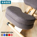 プロポーションチェア専用 補助クッション 本体別売り 学習チェア用 クッション 背筋が伸びるチェア用 クッション(代引不可)【送料無料】