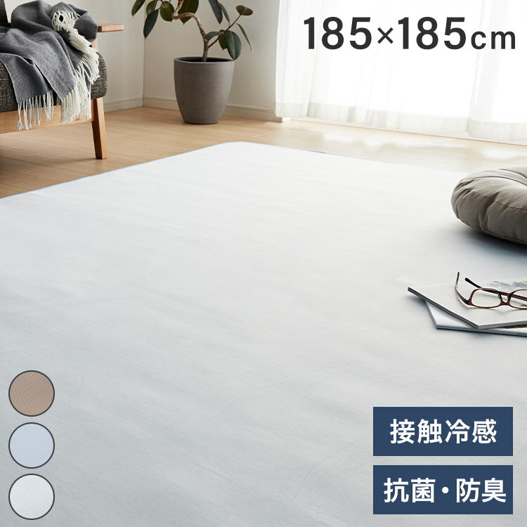 超ひんやり冷感 ラグ Q-MAX0.5 約2畳 185×185cm 洗える 冷感 クール 洗える ひんやり 接触冷感 ラグマット カーペット 丸洗い 軽量 春夏 ホットカーペット対応(代引不可)【送料無料】のサムネイル