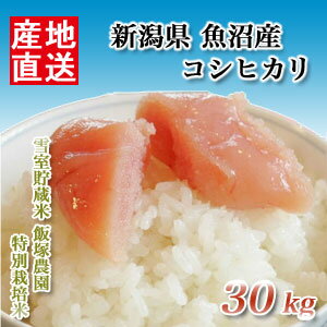 米 日本米 特Aランク 産地直送 25年度産 新潟県 魚沼産 コシヒカリ 雪室貯蔵米 飯塚農園 特別栽培米 30Kg【こしひかり】【精米無料】(代引き不可)のサムネイル