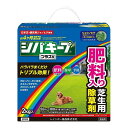 レインボー薬品 シバキーププラスV 2kg 日本製 国産【ポイント10倍】【送料無料】