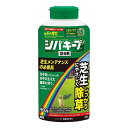 レインボー薬品 シバキープIII粒剤 900g 日本製 国産【ポイント10倍】