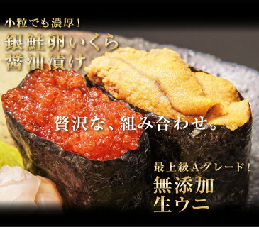 冷凍ウニ×いくら醤油漬けセット ウニ100g×1個 いくら250g×1個 うに ウニ 無添加 いくら イクラ 醤油漬け 銀鮭 ギフト(代引不可)【ポイント10倍】【送料無料】【smtb-f】