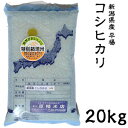 米 日本米 Aランク 令和5年度産 新潟県産 平場コシヒカリ 20kg ご注文をいただいてから精米します。【精米無料】【特別栽培米】【こしひかり】【新米】(代引不可)【送料無料】