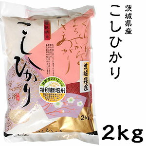 米 日本米 Aランク 令和4年度産 茨城県産 こしひかり 2kg ご注文をいただいてから精米します。【精米無料】【特別栽培米】【新米】【コシヒカリ】（代引不可）【送料無料】