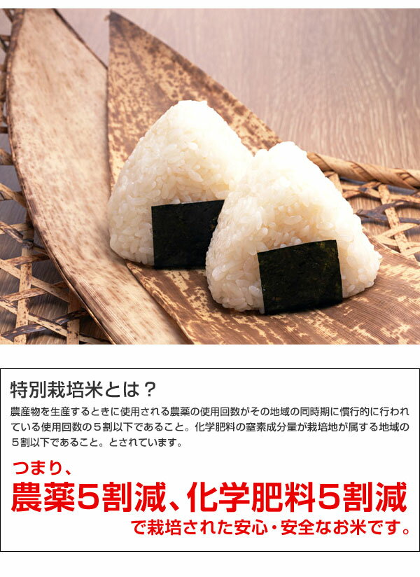 米 日本米 Aランク 令和3年度産 富山県産 こしひかり 10kg ご注文をいただいてから精米します。【精米無料】【特別栽培米】【こしひかり】【新米】（代引き不可）【送料無料】