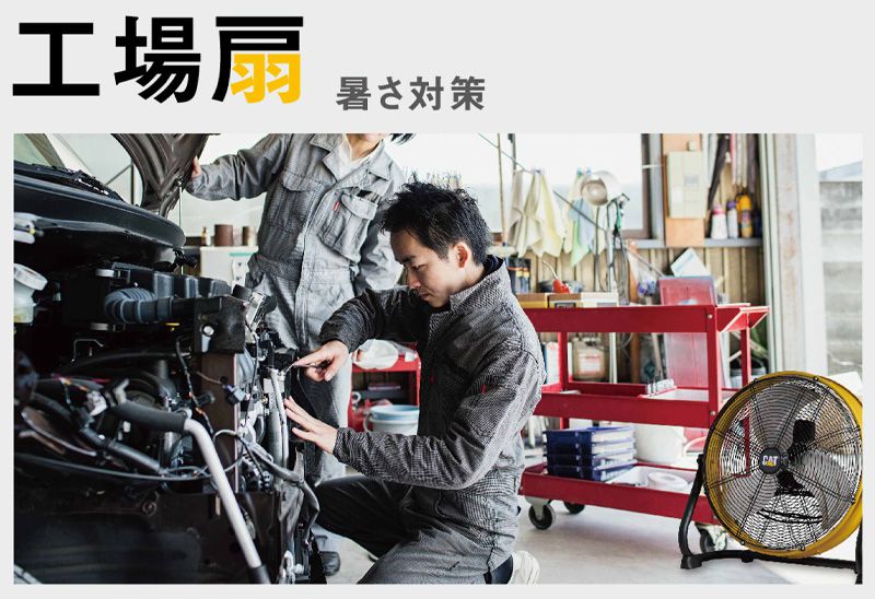 CAT ������ ��������졼���� ���������� ���ּ� ���㥿�ԥ顼�� �ե����ե��� �ϥ��ѥ �緿 45cm ������ɥ����� HVP-18S-DC(����Բ�)������̵����