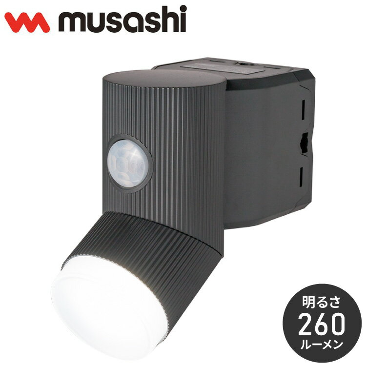 LEDセンサーライト ムサシ RITEX ライテックス LED-CY130 4.5W×1灯 乾電池式 シリンダー センサーライト フリーアーム式 人感センサーライト 防雨 屋外 防犯グッズ 防犯 玄関(代引不可)【送料無料】