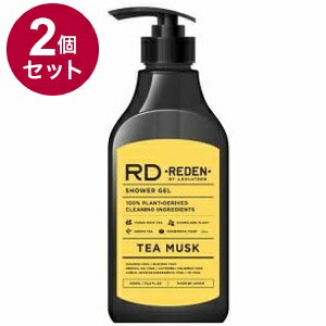 【単品2個セット】 リデンボディソープ ティームスク450ml REDEN ボディソープ ヒアルロン酸 メンズ 男性用 レモン レモングラス 爽やか オイリー 脂性肌 乾燥肌 保湿 体臭【ポイント10倍】【送料無料】