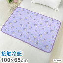 ちょこっと敷パッド ラプンツェル 敷きパッド 100×65cm 滑り止め加工 接触冷感シリーズ ディズニー かわいい おしゃれ プレゼント ギフト ごろ寝 お昼寝 マット(代引不可)【送料無料】(3)