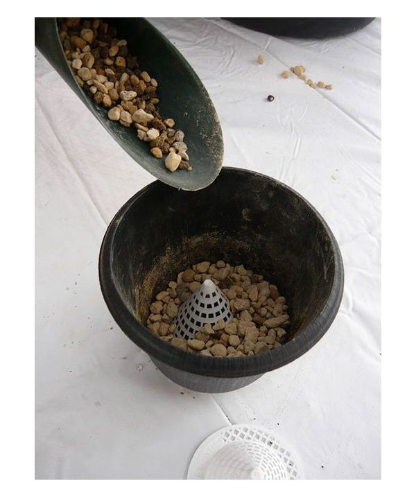 ɴ���̡ �� 10����