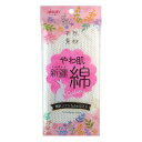 【5個セット】アイセン 綿ボディタオル 24×100cm BN217アイセン 綿ボディタオル 24×100cm BN217【送料無料】