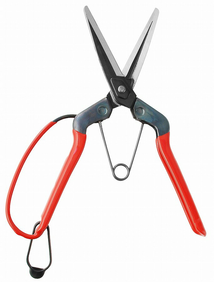 【商品詳細】高級炭素刃物鋼に強くて粘りのある特殊熱処理を施し、理想的な刃付角度が強くて鋭い切れ味です。ハサミにとってオヘソにあたるカシメ部分の鋲は、摩擦に耐え、ユルミ・ガタツキの心配もなく、いつまでもスムーズな切れ味を保ちます。作業中はずれないバネ構造と理想的なタワミは刃の開きも調整し長時間の使用でも疲れないバネです。大きなガード線は、ハサミを常に安定した位置で握れる、手の保護にも役立ち能率がアップします。鋼板製グリップを使用していますので、丈夫で美しく、軽く、作業性を追及した形状です。用途：玉葱収穫用・農作業全般全長：215mm質量：145g刃長：63mm刃：高級炭素刃物工具鋼、柄：鋼板製・プラスチックコーティング日本製【送料について】北海道、沖縄、離島は送料を頂きます。