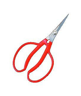 小林製鋏 越路 ステンレス ぶどう間引鋏 175mm K-14