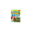 【10個セット】 理研 乾燥 海草サラダ 10g x10 まとめ売り セット販売 お徳用 おまとめ品(代引不可)【送料無料】