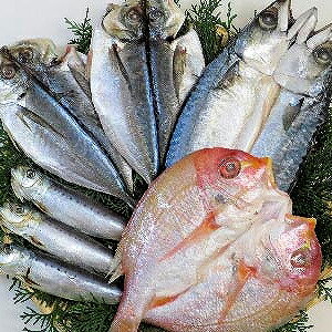 【冷凍】九州 一夜干し 4種 産地直送 産直 食品 食べ物 お取り寄せ グルメ ご当地グルメ 魚 海鮮 干物 鯖 鯛 あじ いわし(代引不可)【ポイント10倍】【送料無料】 【冷凍】九州 一夜干し 4種 産地直送 産直 食品 食べ物 お取り寄せ グルメ ご当地グルメ 魚 海鮮 干物 鯖 鯛 あじ いわし(代引不可)【ポイント10倍】【送料無料】
