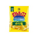 湖池屋 ポテトチップス のり塩 60g x12 12個セット(代引不可)