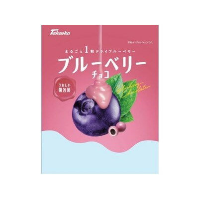 高岡食品工業 ブルーベリーチョコ 90g x12 12個セット(代引不可)【送料無料】
