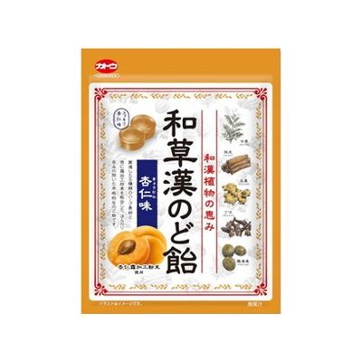 【10個セット】 加藤製菓 和草漢のど飴 杏仁味 58g x10(代引不可)【ポイント10倍】