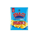 【単品24個セット】 湖池屋 ポテトチップスじゃがいもと塩 小袋 27gx24 まとめ買い まとめ売り お徳用 大容量 セット販売(代引不可)【ポイント10倍】...