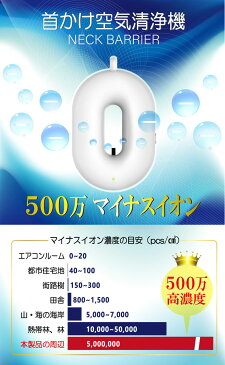 首かけ空気清浄機 ネックバリア 首掛け式 充電式 ポータブル空気清浄機 除菌 消臭 マイナスイオン 電車 オフィス(代引不可)【メール便配送】【送料無料】