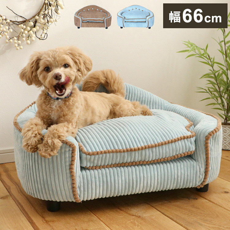 ペットソファ 幅66cm 脚部取り外し可能 ふかふかクッション SNS映え ハイタイプ ブルー チャック付き クッション付き 犬猫兼用 犬 猫 小型犬 ペット ペット用品(代引不可)【送料無料】