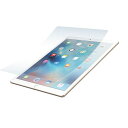 p[T|[g A`OAtBZbg for iPad Pro 12.9inch PRO-02(s)