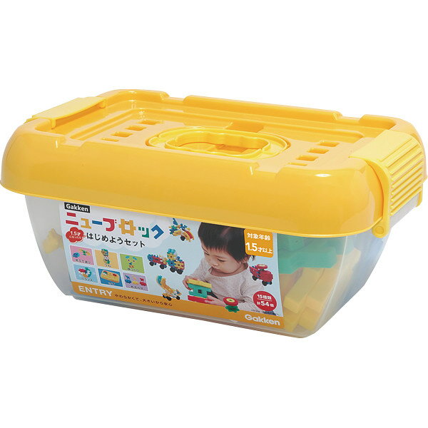 ニューブロック はじめようセット 83717(代引不可)【ポイント10倍】【送料無料】