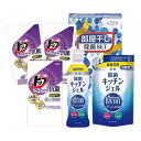 ギフト工房 部屋干し除菌セット DD-70T 石鹸・洗剤 洗剤 洗剤(代引不可)【ポイント10倍】