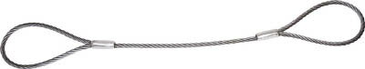 TRUSCO ワイヤーロープスリング Aタイプ アルミロック 12mmX2．5m TWAL12S2.5