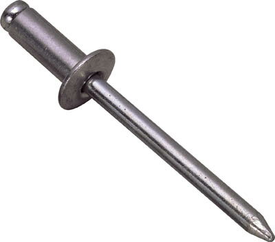 ���� �֥饤��ɥ�٥åȡ�1000������ ���ƥ�쥹�����ƥ����� 4−2��NSS4-2��(�ե����˥󥰥ġ��롦�֥饤��ɥ�٥å�)������̵����