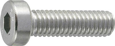 【メーカー型番】B089-0616【JANコード】4989999289114【ブランド】TRUSCO 　【特徴】●頭部の高さが低くなっており狭い場所にも適しています。【用途】【仕様】●寸法(mm)d×L:M6×16●質量(g):84.3●強度区分:A2-50相当【材質／仕上】●ステンレス（SUS304）【セット内容／付属品】【注意】【原産国】【送料について】北海道、沖縄、離島は送料を頂きます。