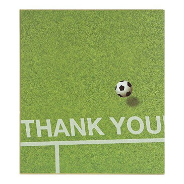 ミドリ カラー色紙サッカージョウ 33167006