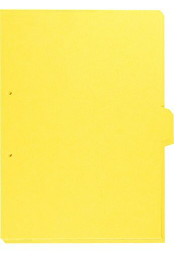 キング カラーインデックス A4タテ 907T20キイ