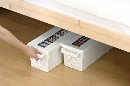 ��ǥ�������ƥ� CD������ �ۥ磻��(������Բ�)