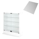 壁面収納 LED付きコレクションラック ワイド 本体 両開きタイプ 背面ミラー1枚セット 奥行29(代引き不可)【送料無料】