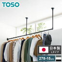 ハンギングバー H-1 天井付けLタイプセット 278cm×15cm ハンガーパイプ ハンガーラック アイアン ハンガーバー ウォールハンガー おしゃれ ハンガー インテリア(代引不可)【送料無料】(3)