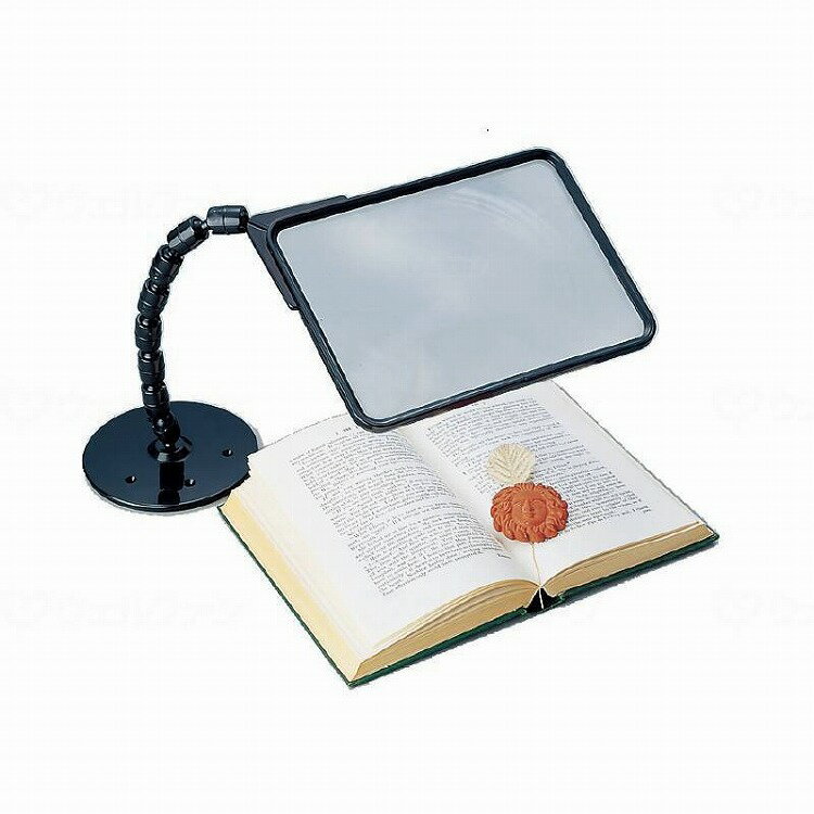 ���ɥץ饹���å� ���ܤͷ��롼�� �ɽ��� �֥�å�(����Բ�)������̵����