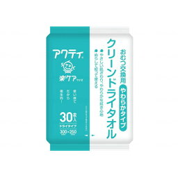 日本製紙クレシア クリーンドライタオル 袋 やわらかタイプ 80880(代引不可)